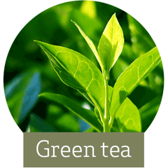 7 HEALTH BENEFITS OF GREEN TEA